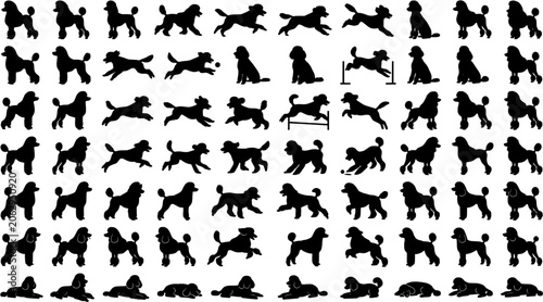 Poodle Dog Silhouettes Collection Assorted Poses Actions