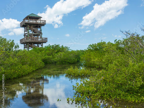 Картината върху платно Wooden observation tower at a county nature preserve for sweeping views of mangr