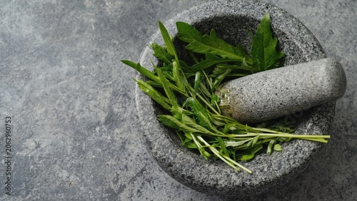 Fresh Herbs in Mortar