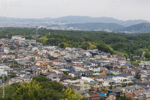 Residential neighborhood with forest and mountains in background