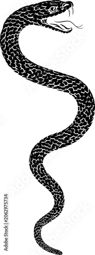 Snake coiled serpent, origi...