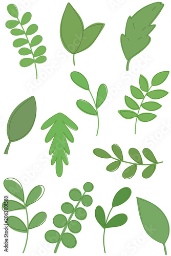 leaves nature
