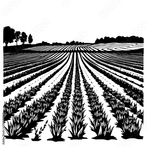 Tableau sur toile Vector illustration of a vast agricultural field at sunset with rows of crops and trees in the background, silhouette style