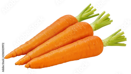 Tableau sur toile Three fresh orange carrots with green tops