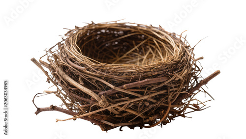 Quadro su tela Natural bird nest made of twigs and grass