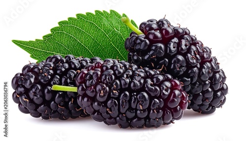 Fresh Ripe Blackberries Arranged with Green Leaf on White Background