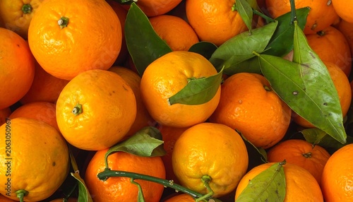 A vibrant close-up of numerous small, round oranges with green leaves