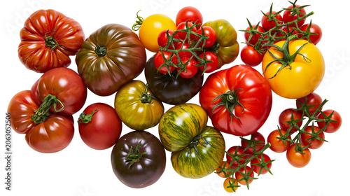 Schilderij op canvas Assorted heirloom tomatoes and cherry tomatoes variety