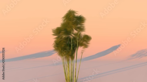 Surreal Swaying Green Reeds Under a Warm, Gradient Sky With Long Shadows