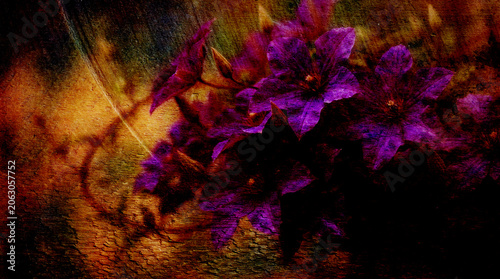 Foto Purple clematis flower dark vintage distressed grunge texture