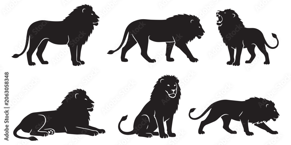 Fototapeta premium Lion Vector Set Different Poses