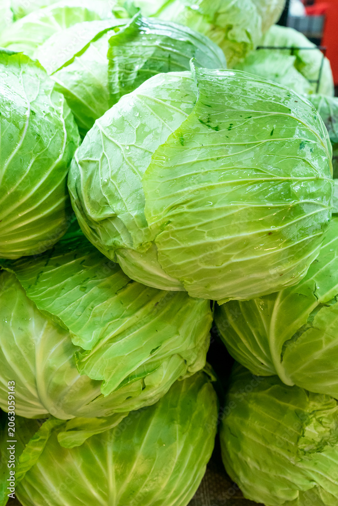 Obraz premium Fresh green cabbages are neatly displayed at a traditional market stall, showcasing layered leaves and natural textures. The composition highlights freshness, local agriculture, and healthy produce wh