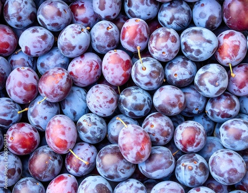 A vibrant cluster of plump, purple fruits with hints of red and green