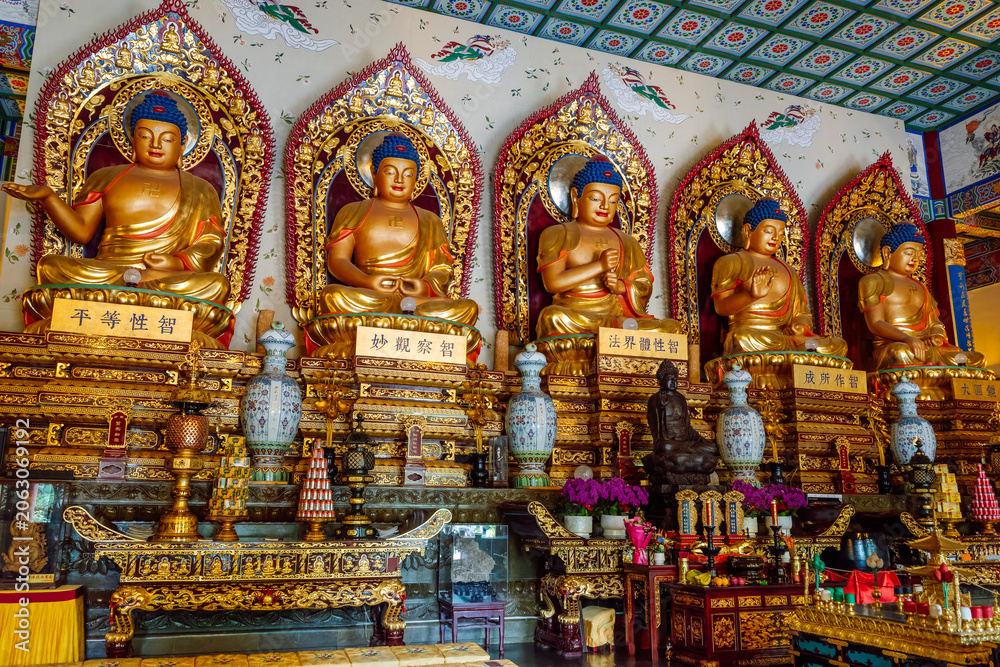 Fototapeta premium Five Golden Dhyani Buddha (Five Wisdom Buddhas) Statues Seated on Ornate Thrones Inside Da Xingshan Temple Hall in Xi'an, China
