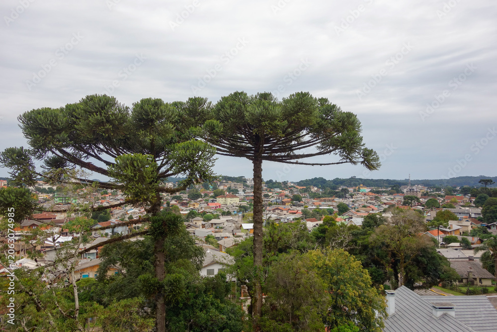 Fototapeta premium Panoramic view of residences in the city of Canela, RS, Brazil. Cityscape