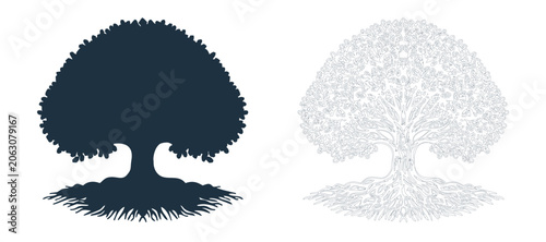 Foto Detailed oak tree and broadleaf silhouette collection vector illustration botani