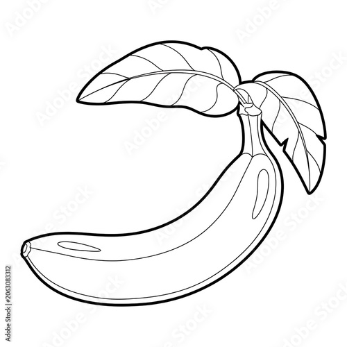 Minimalist line art illustration of a brain and spinal cord.
