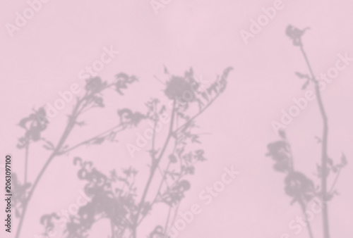 Natural light casts shadows from the field grass on a pink sheet of paper. Mockup