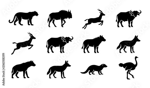 Photography African Wildlife Silhouettes Collection: Diverse Fauna Vector Icons for Safari a