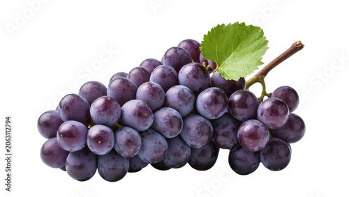 Schilderij op canvas Dark purple grapes with green leaf and stem