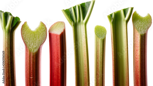 Fotografie Fresh Rhubarb Stalks with Red and Green Colors