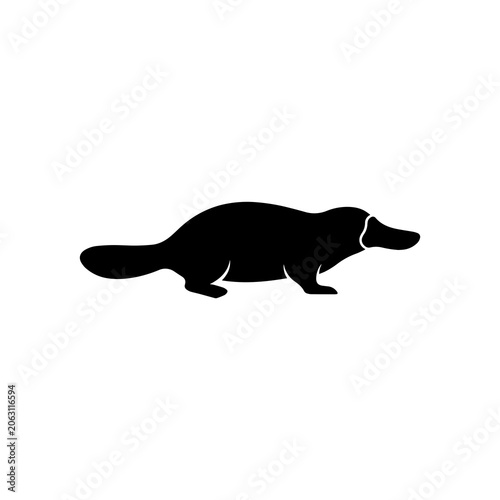 Vászonkép Minimalist platypus silhouette icon vector illustration with semi aquatic