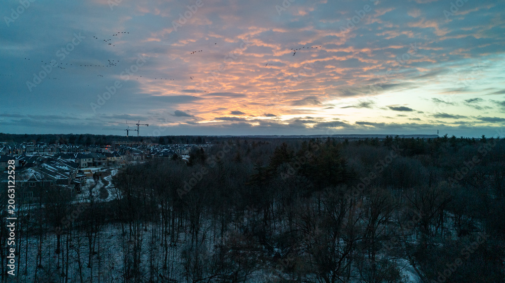 Obraz premium A beautiful high-angle drone photograph capturing a flock of Canadian geese in flight over a dark winter forest and a snowy suburban neighborhood under a vibrant pink and orange sunset sky.