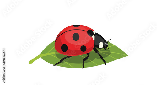 Fotografie A red ladybug resting on a green leaf depicted as a flat vector silhouette beetl