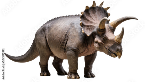 Fotografie Triceratops dinosaur with horns and frill