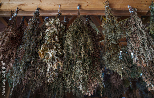 various herbs and tree leaf swabs for tinctures