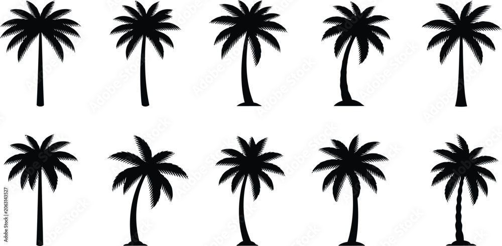 Fototapeta premium Black palm tree silhouettes on white background
