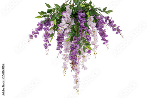 A dense cluster of artificial wisteria flowers with purple petals and green foliage, hanging down, isolated on a white background, for display