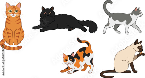 Fotografie Domestic Cat Breeds Vector Icon Set Featuring Orange Tabby Fluffy Black Persian