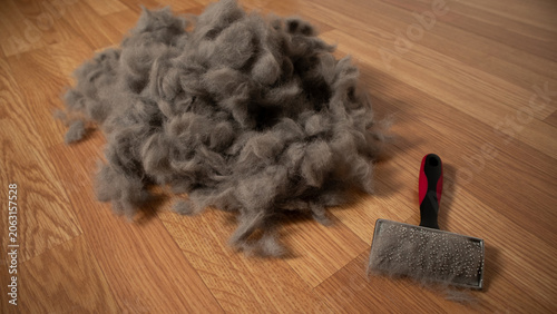 Fotografie Cat hair after grooming and brushing