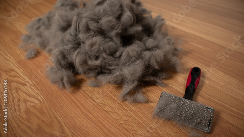 Obraz na plátně Cat hair after grooming and brushing