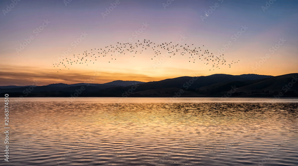 Fototapeta premium Panoramic view of a large flock of birds flying in an arc formation over a calm lake at golden sunset, generative AI