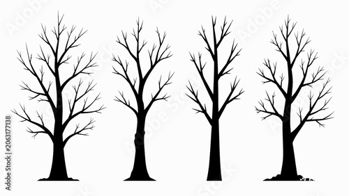 Fotografie Bare Trees Silhouettes, Winter Season, Minimalist Design