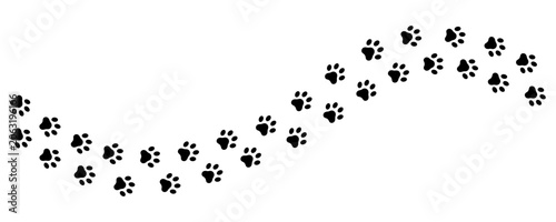 Dog or cat paw print isolated on transparent background, animal footprint track, pet paw walk trace vector.