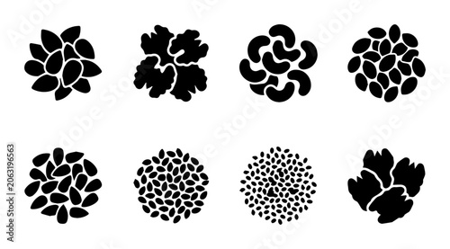 Organic Seed and Grain Icons, Black and White Vector Graphics Set, Healthy Food Elements Collection