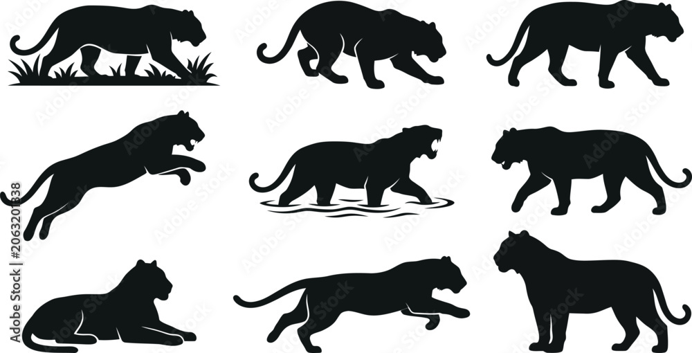 Ταπετσαρία Black silhouettes of tigers in various poses and movements on white background