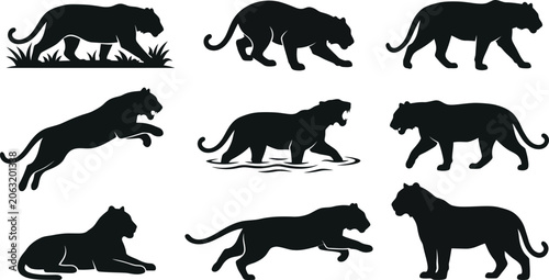 Photography Black silhouettes of tigers in various poses and movements on white background