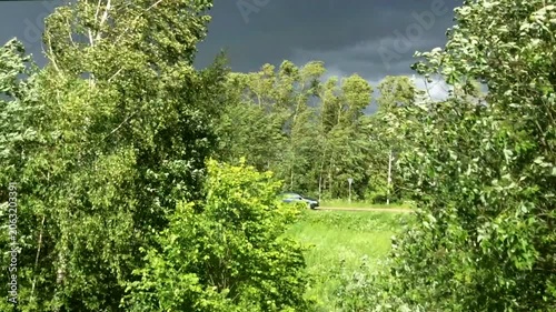 Wide shoot of nature in summer in heavy rain and wind