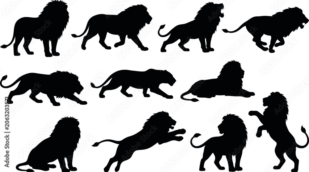 Fototapeta premium Set of lion silhouettes in various poses and movements on white background