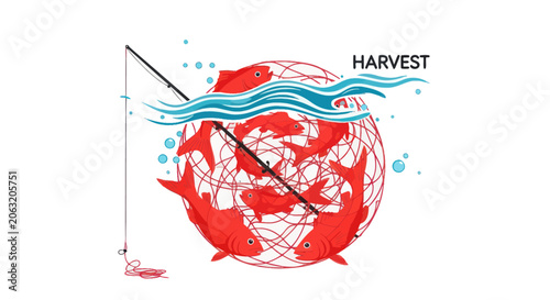 Photos Abundant harvest of red fish caught in a circular net under waves