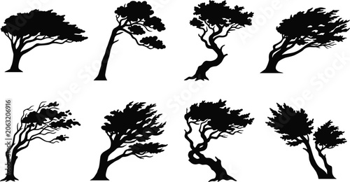 Canvastavla Windswept Tree Silhouette Vector Set Showing Coastal Forest Shapes and Natural E