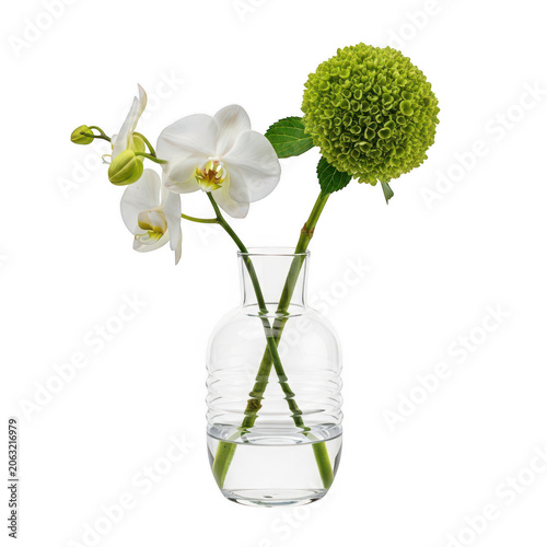 Elegant white vase with green and white flowers on a white background isolated on transparent background