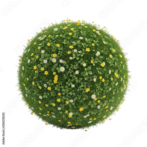 A close-up view of a vibrant green moss ball with small yellow flowers isolated on transparent background