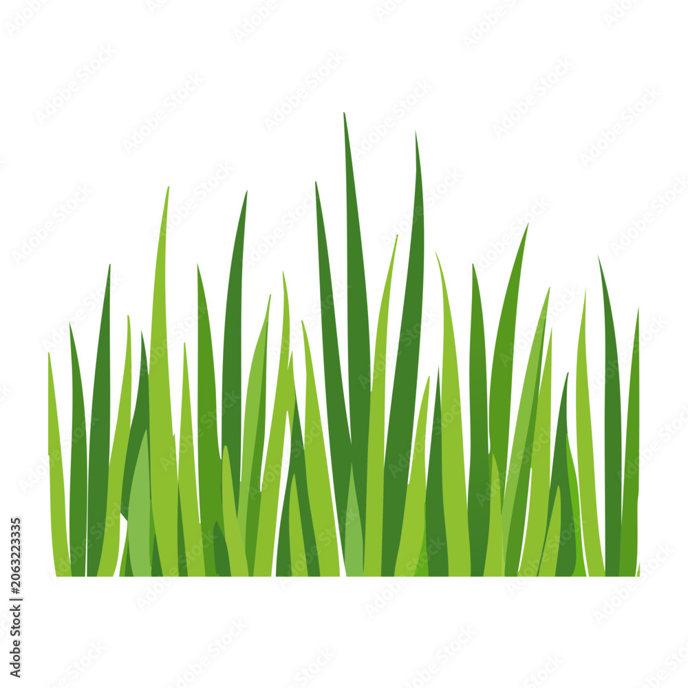 Fototapeta premium Flat design green grass blades on transparent background