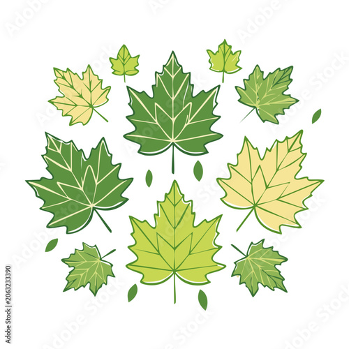 Flat design maple leaves illustration