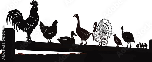 Tableau sur toile Farm bird silhouette vector bundle featuring rooster, hen, duck, goose, turkey,